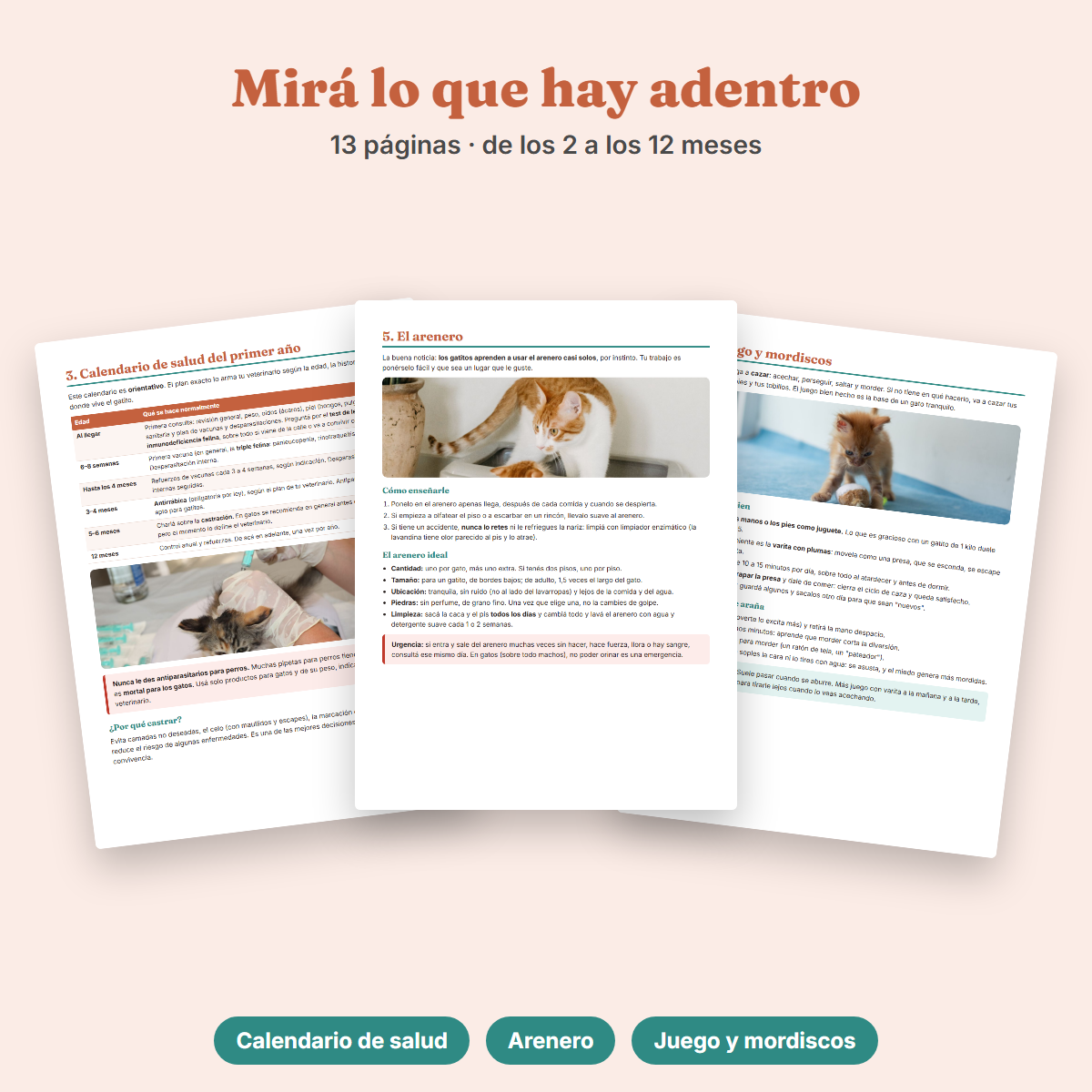 Ebook Tu Gatito
