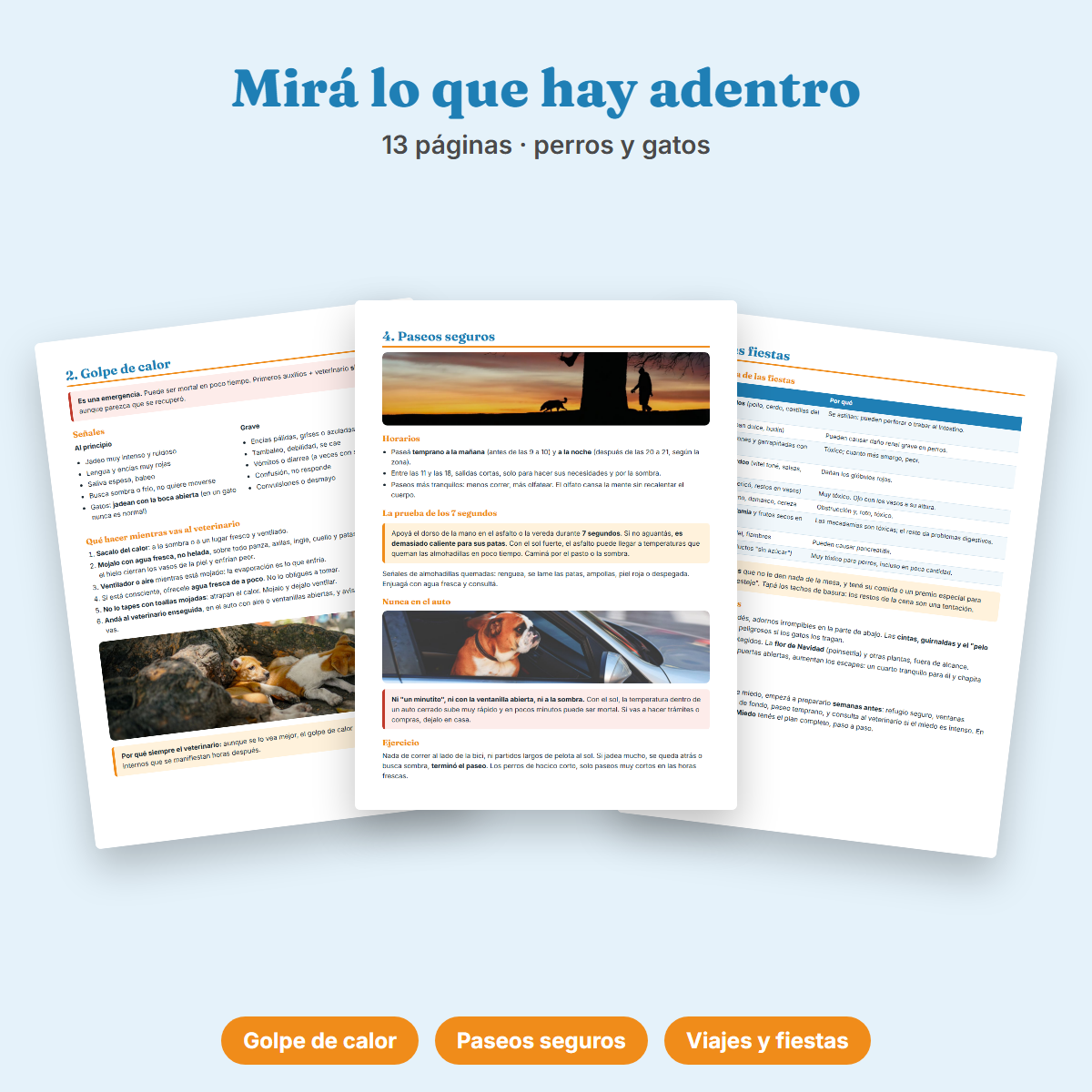 Ebook Verano sin Riesgos