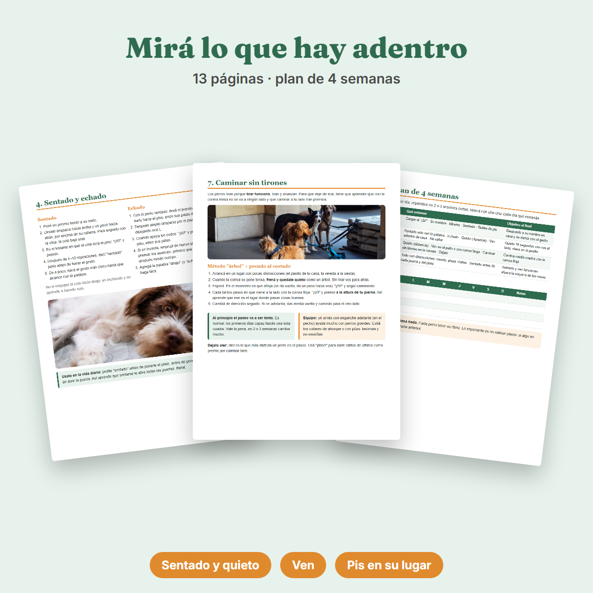 Ebook Adiestramiento Básico para tu Perro