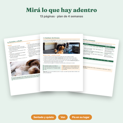 Ebook Adiestramiento Básico para tu Perro