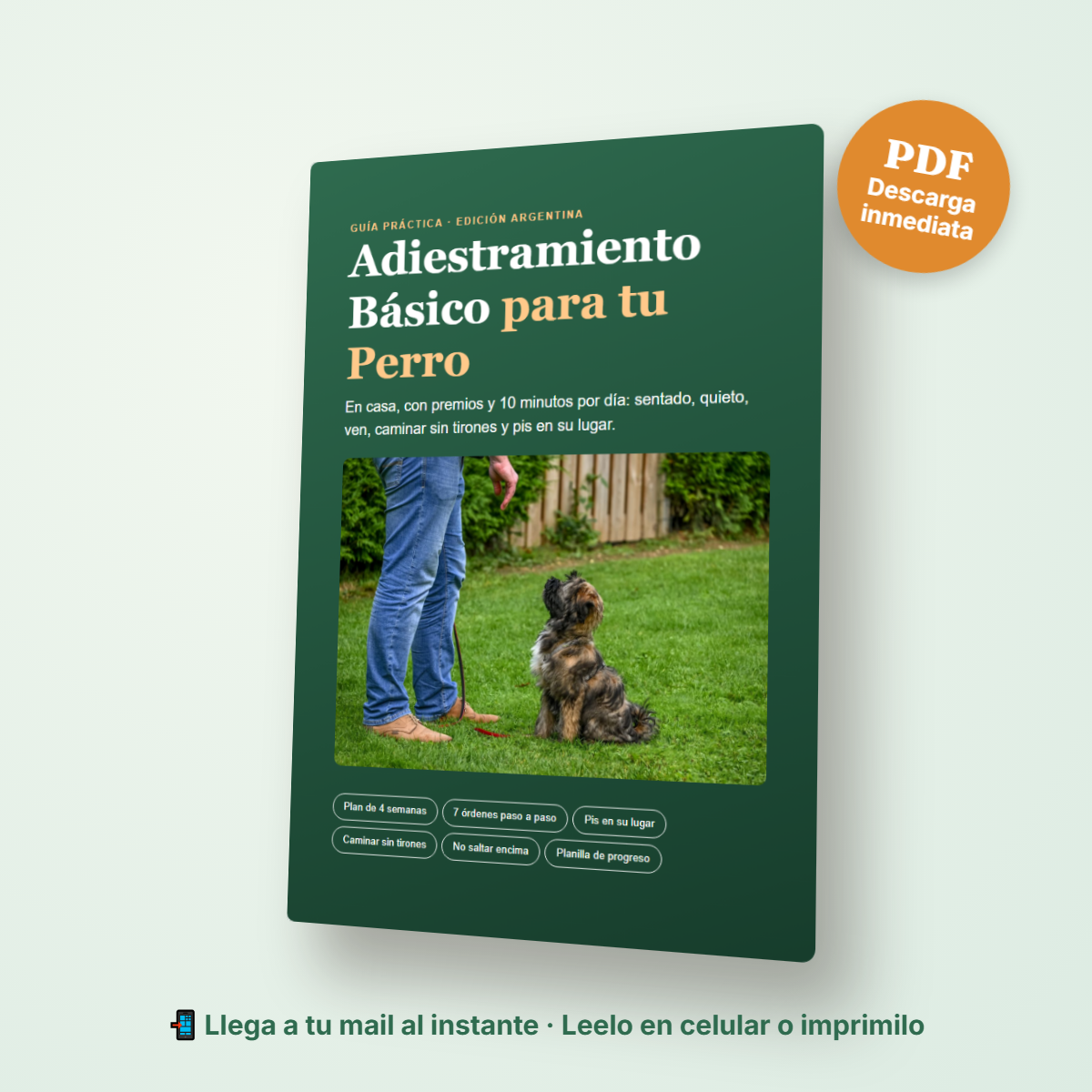 Pack Cachorro