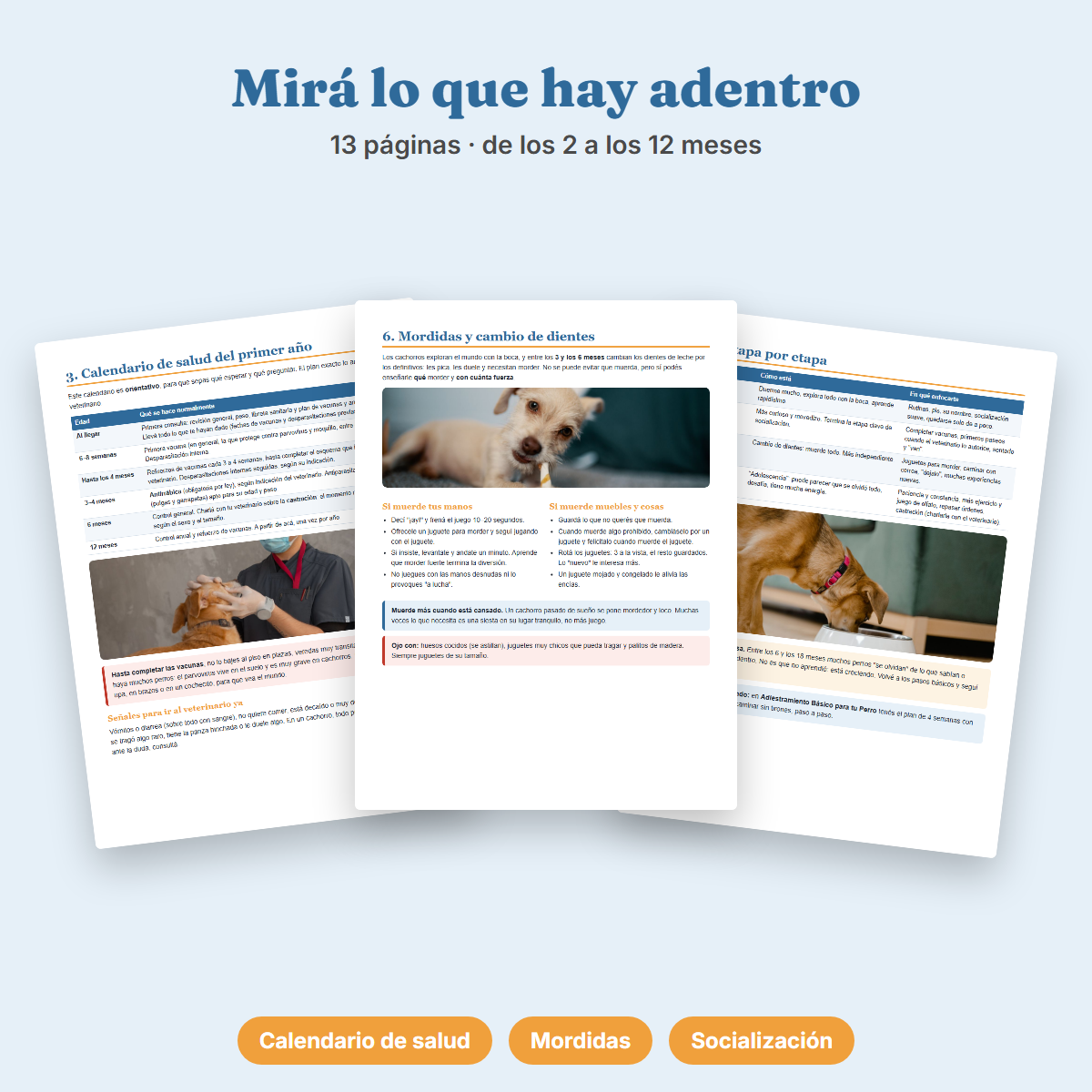 Ebook Tu Cachorro