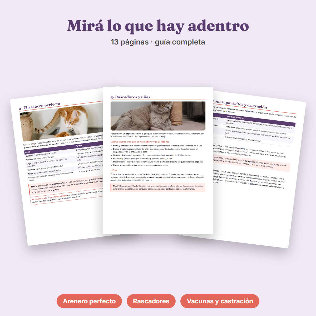 Ebook Cuidado de tu Gato