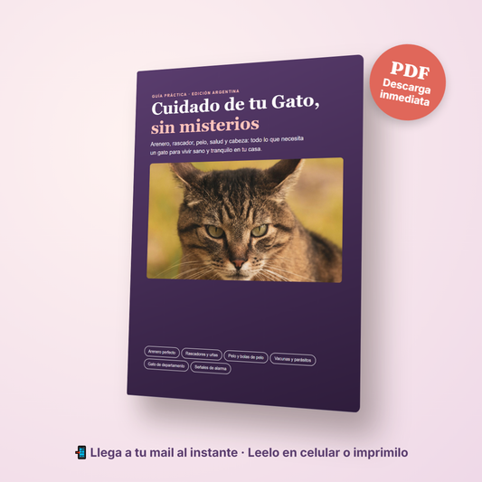 Pack Gato Completo