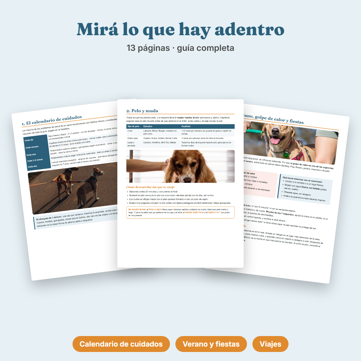 Ebook Cuidado de tu Perro