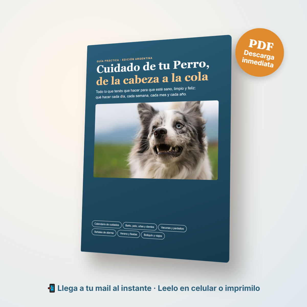 Pack Perro Completo