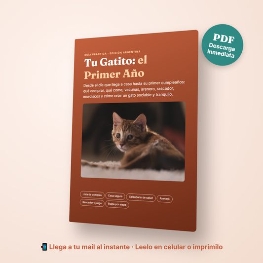 Pack Gatito