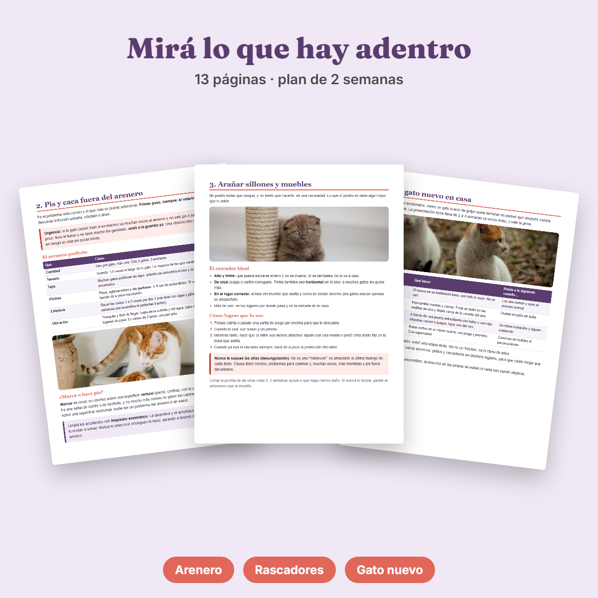 Ebook Gato sin Problemas de Conducta