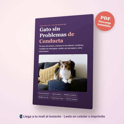 Pack Gatito
