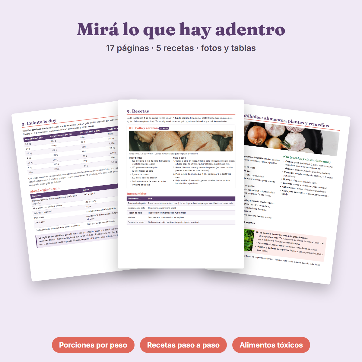 Ebook Comida Casera para tu Gato (PDF - Descarga inmediata)
