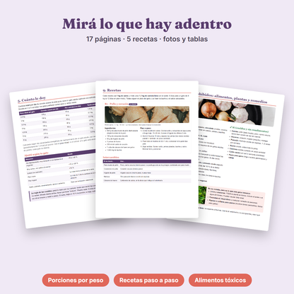 Ebook Comida Casera para tu Gato (PDF - Descarga inmediata)