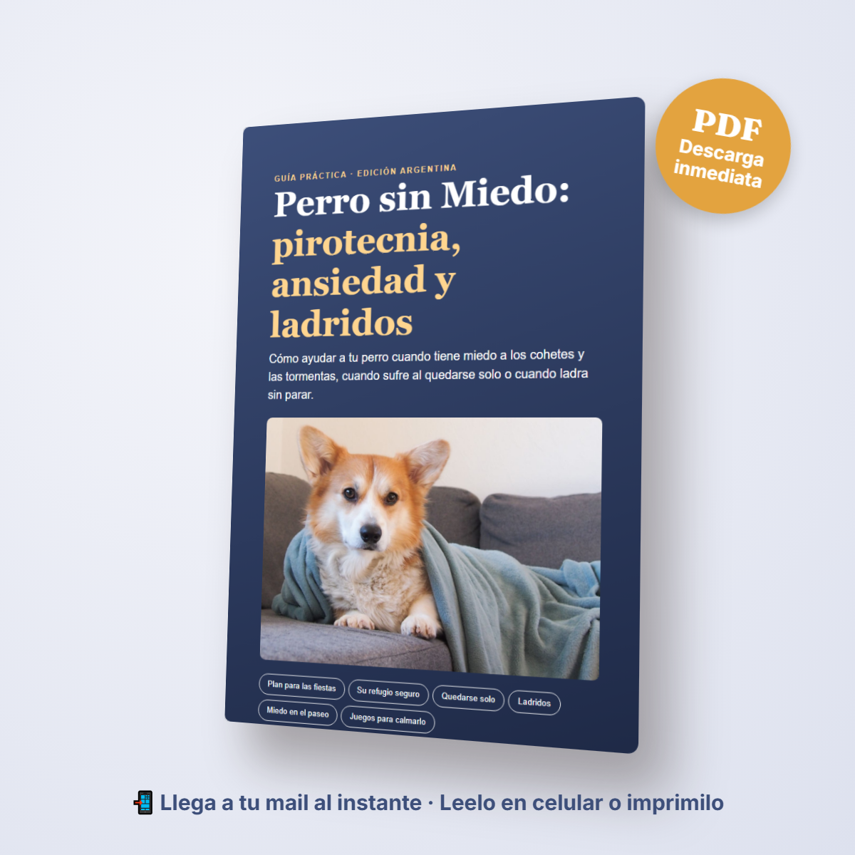 Pack Verano y Fiestas