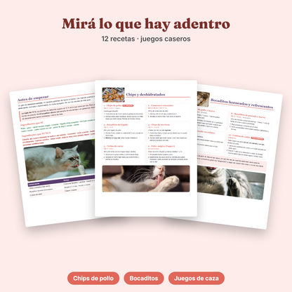 Ebook Premios Caseros para tu Gato
