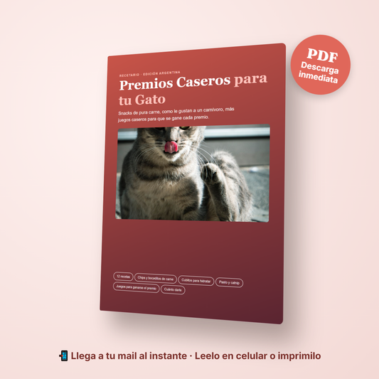 Pack Gato Completo