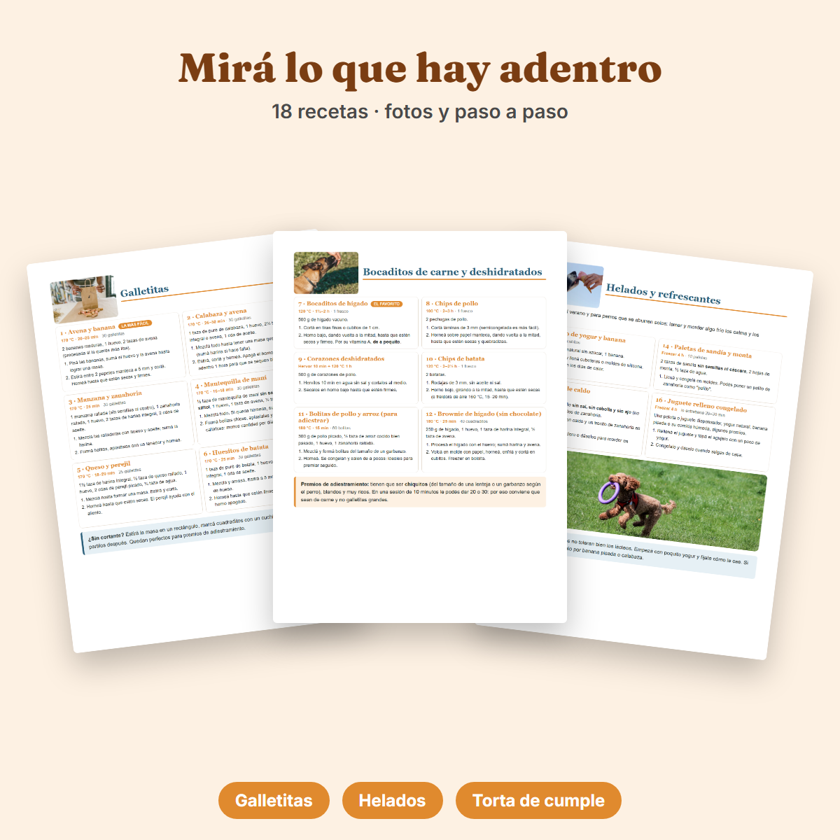 Ebook Premios Caseros para tu Perro