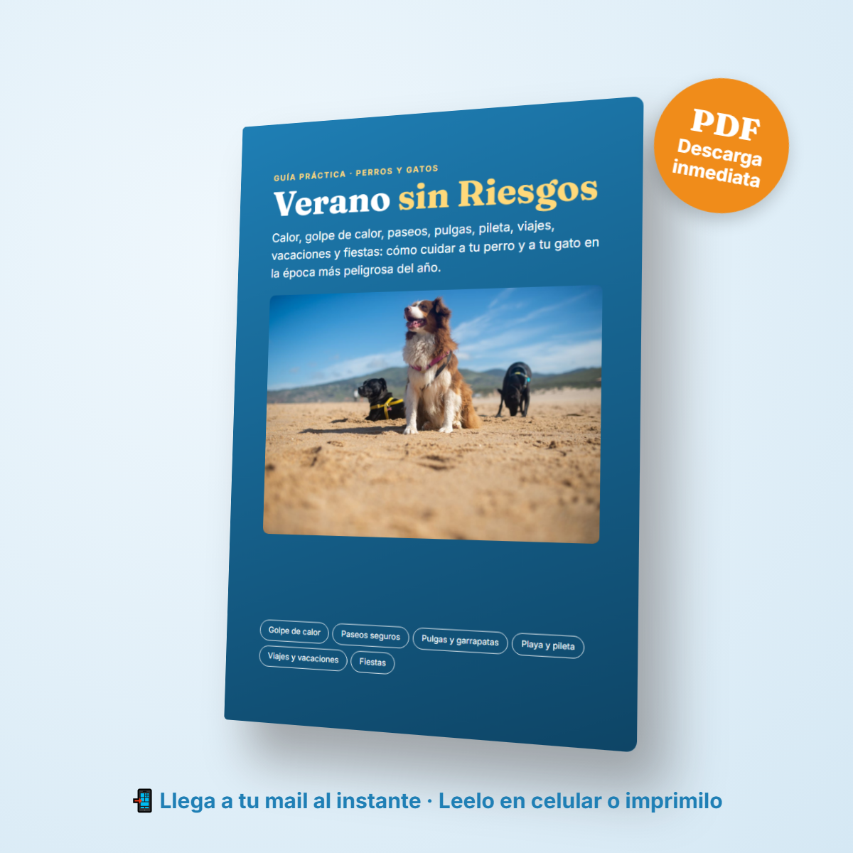 Pack Verano y Fiestas
