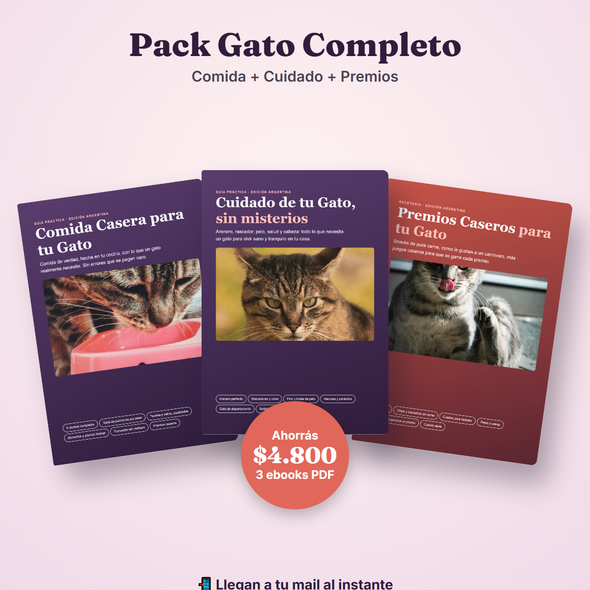 Pack Gato Completo