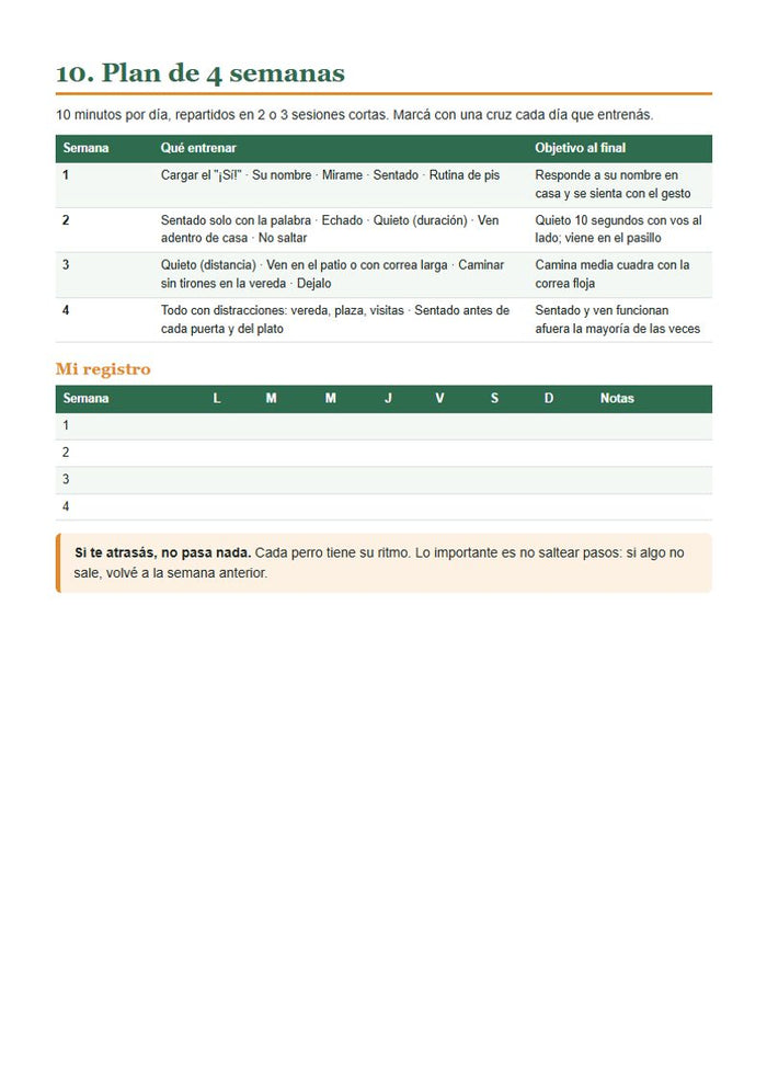 Adiestramiento: plan de 4 semanas