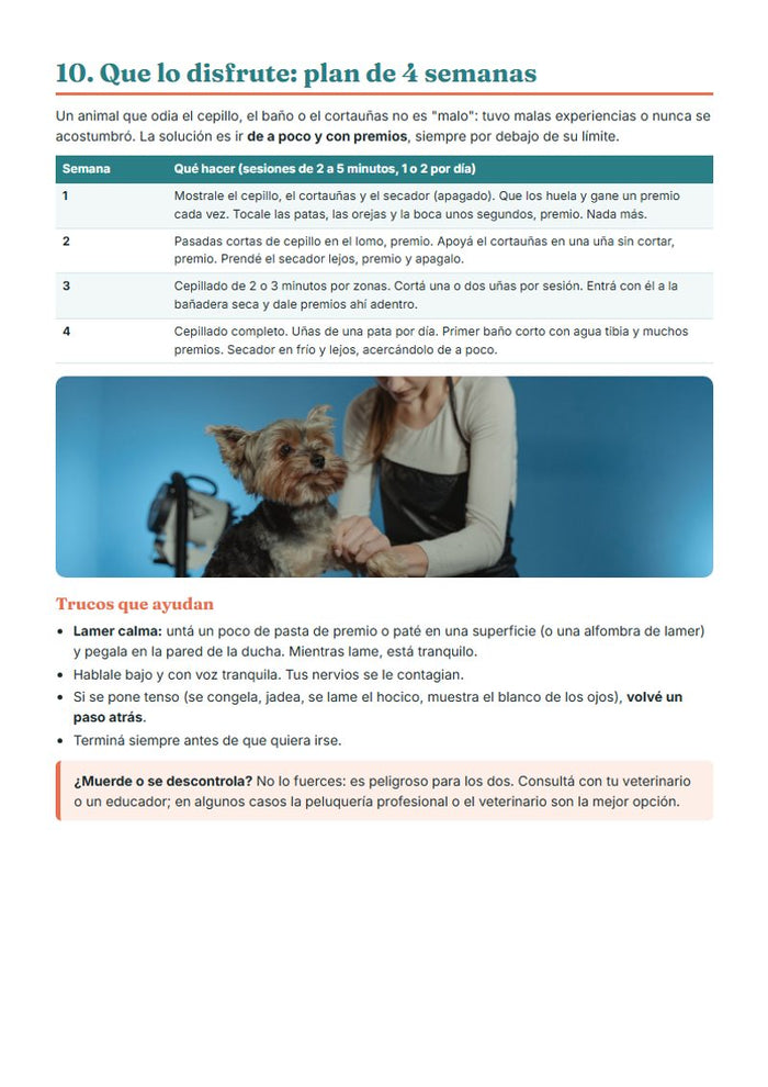 Plan de 4 semanas