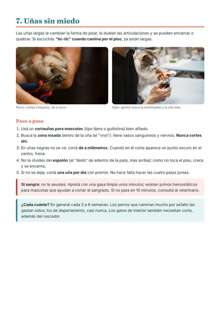 Uñas sin miedo