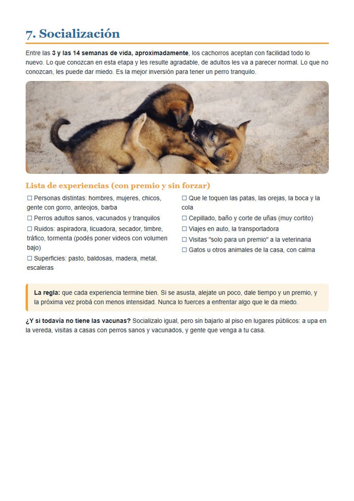 Cachorro: socialización