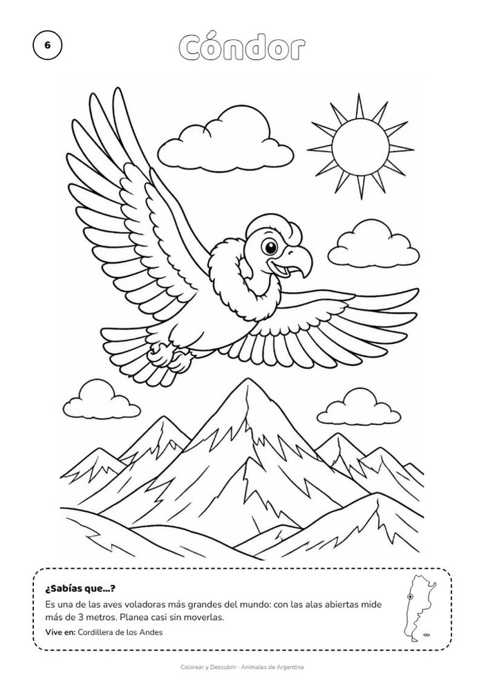 Cóndor de los Andes