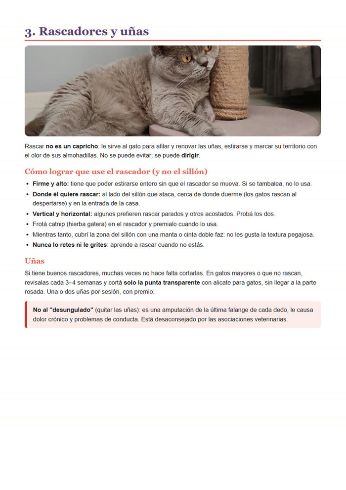 Rascadores y uñas