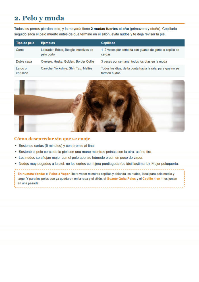 Pelo y muda