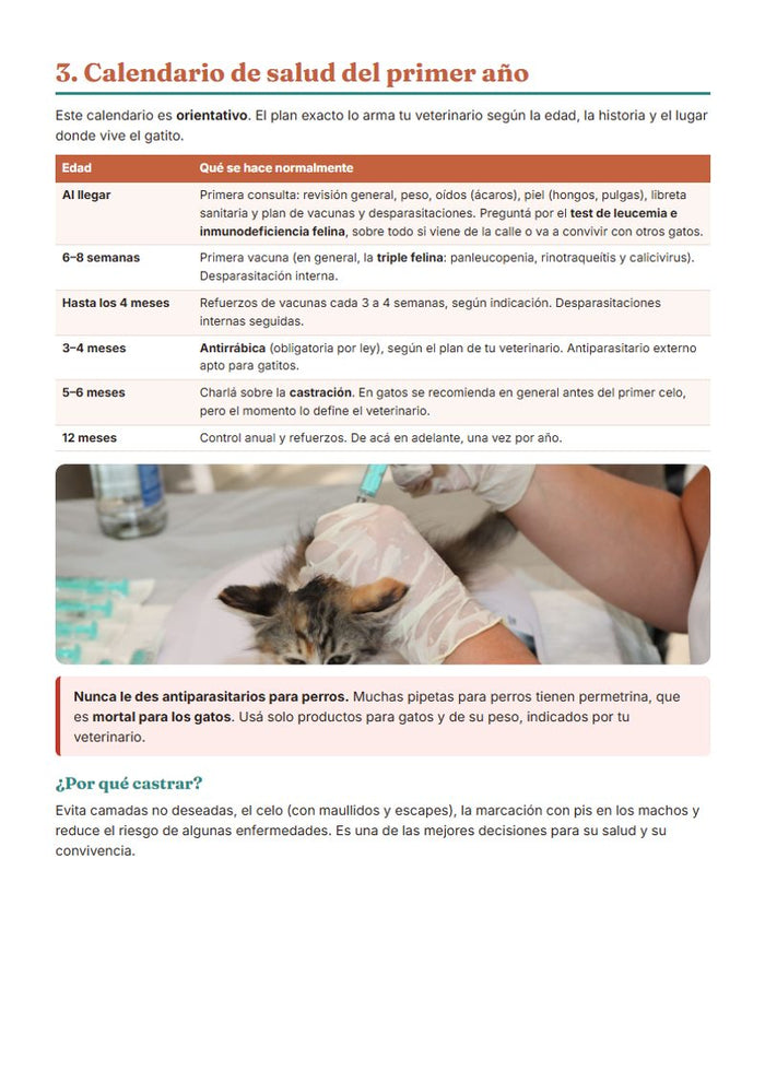 Gatito: calendario de salud