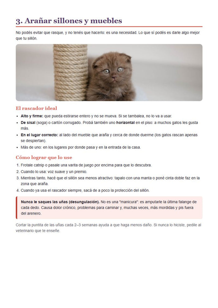 Conducta: rascadores
