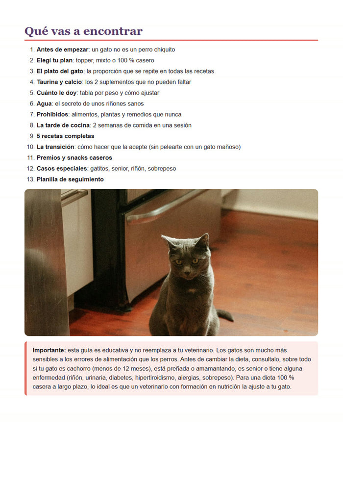 Índice