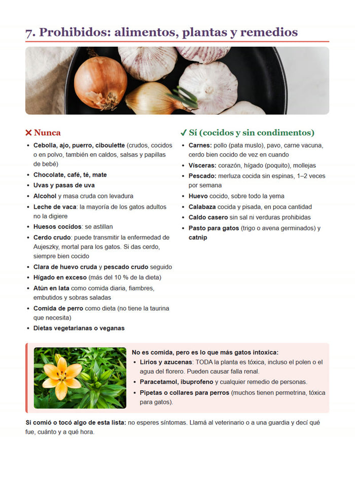 Alimentos y plantas tóxicas