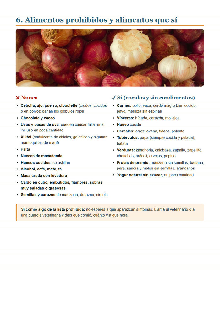 Alimentos prohibidos