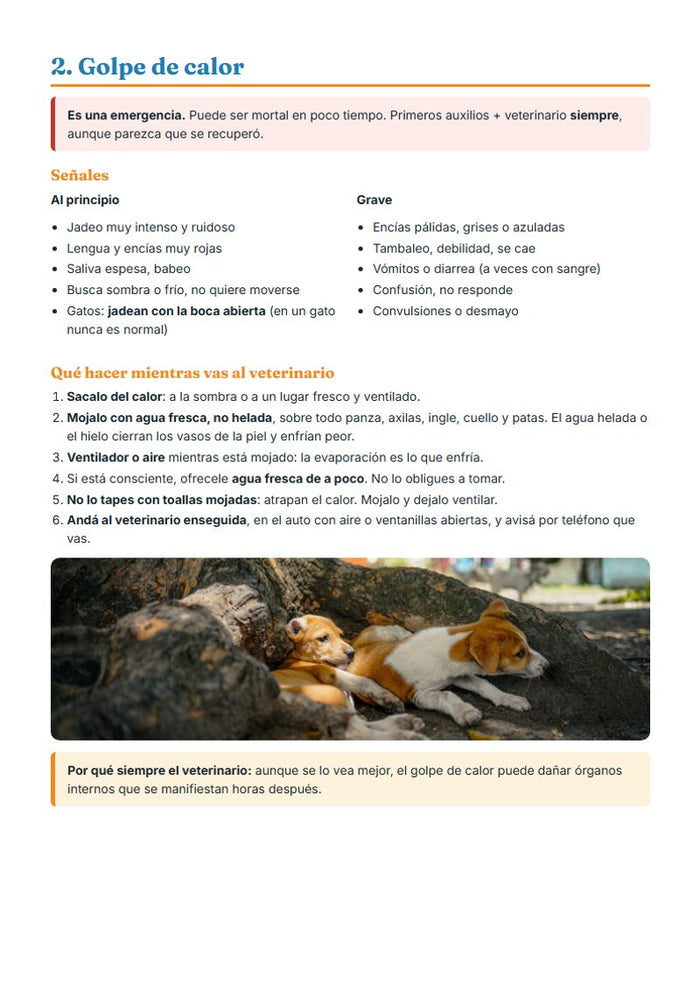 Golpe de calor
