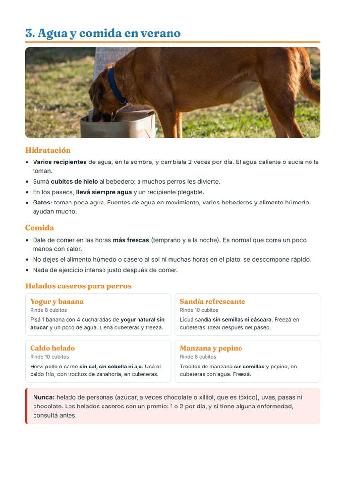 Helados caseros
