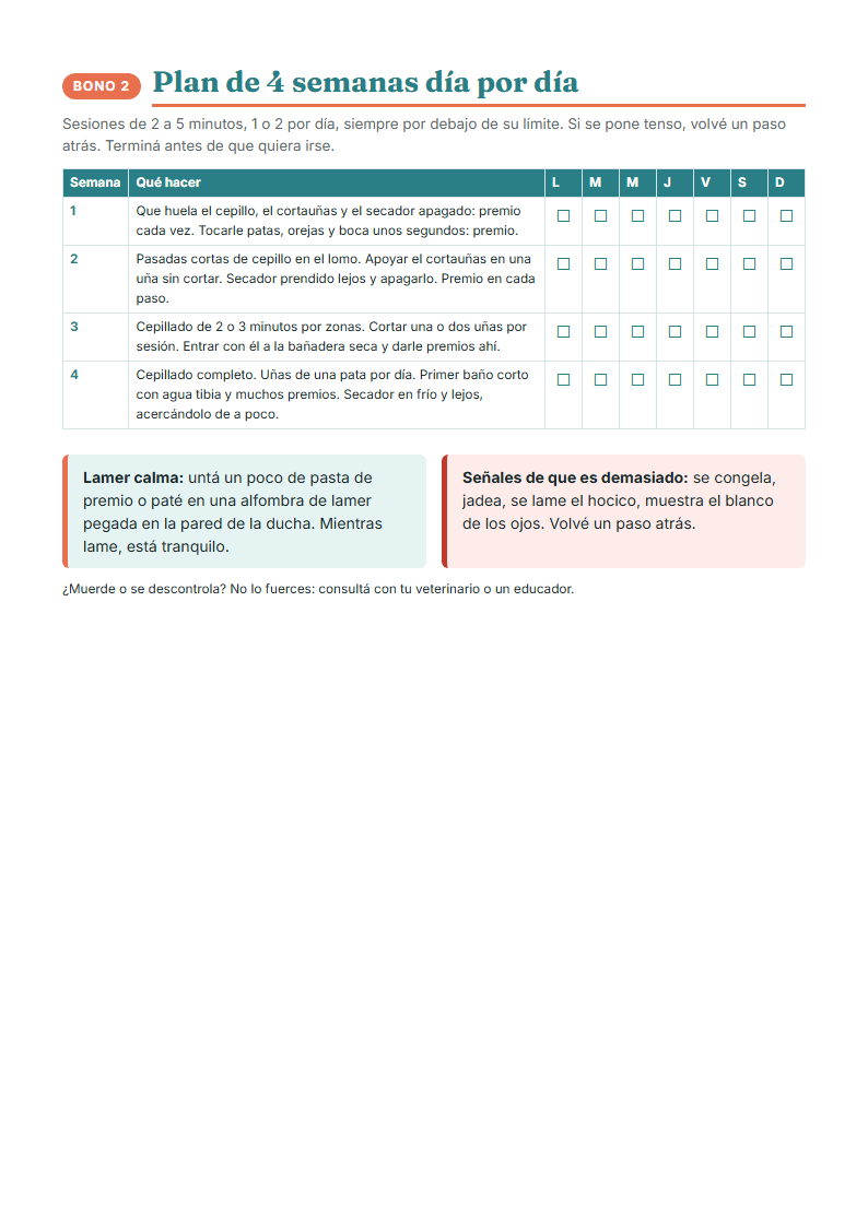 Plan de 4 semanas día por día