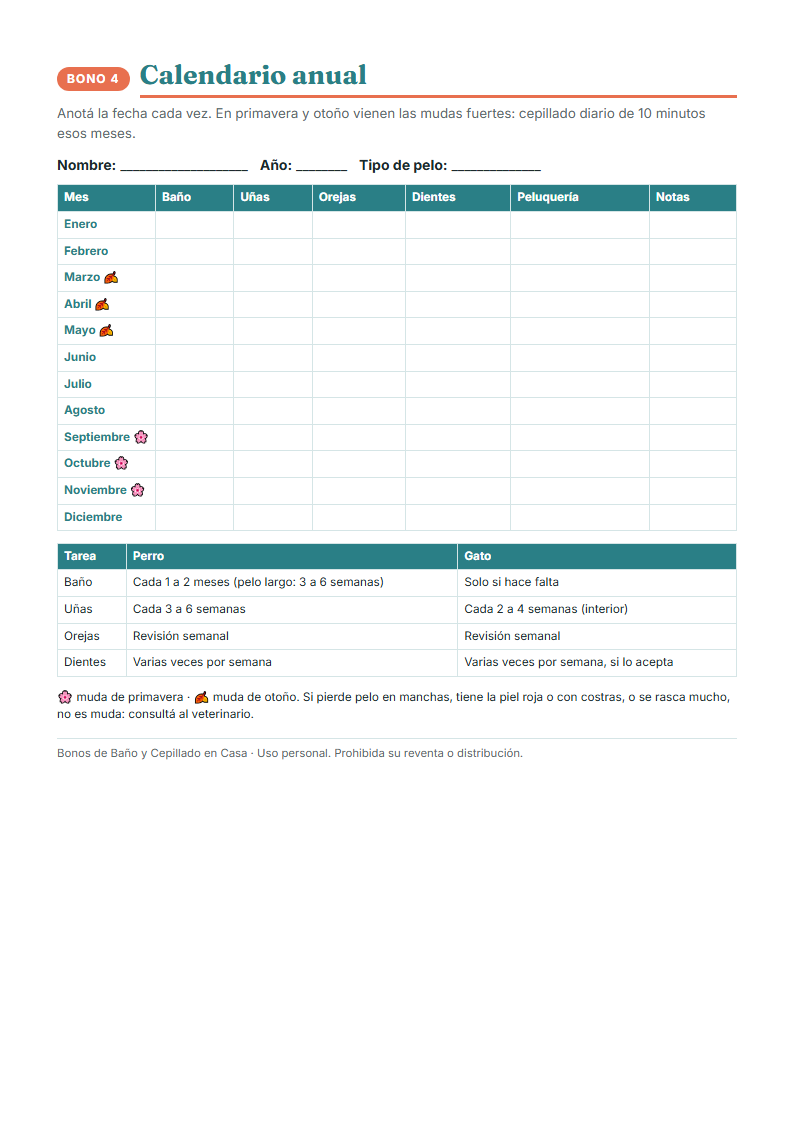 Calendario anual