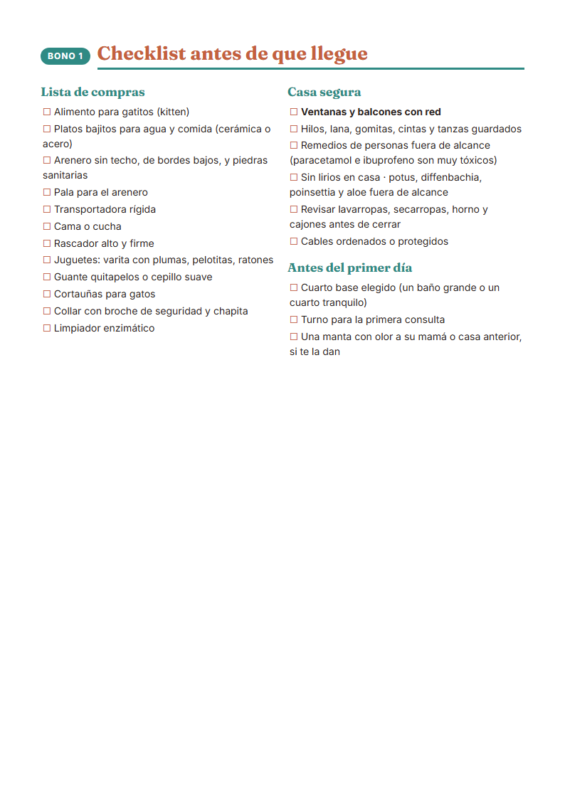 Checklist antes de que llegue