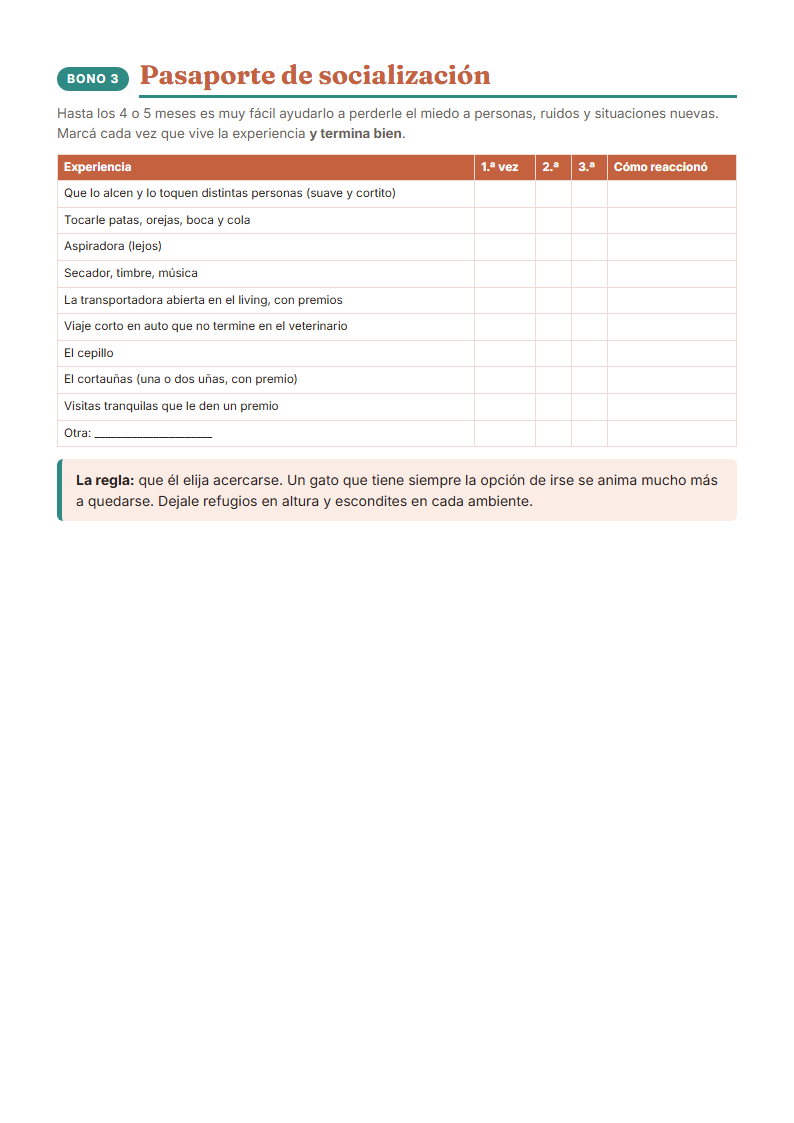 Pasaporte de socialización