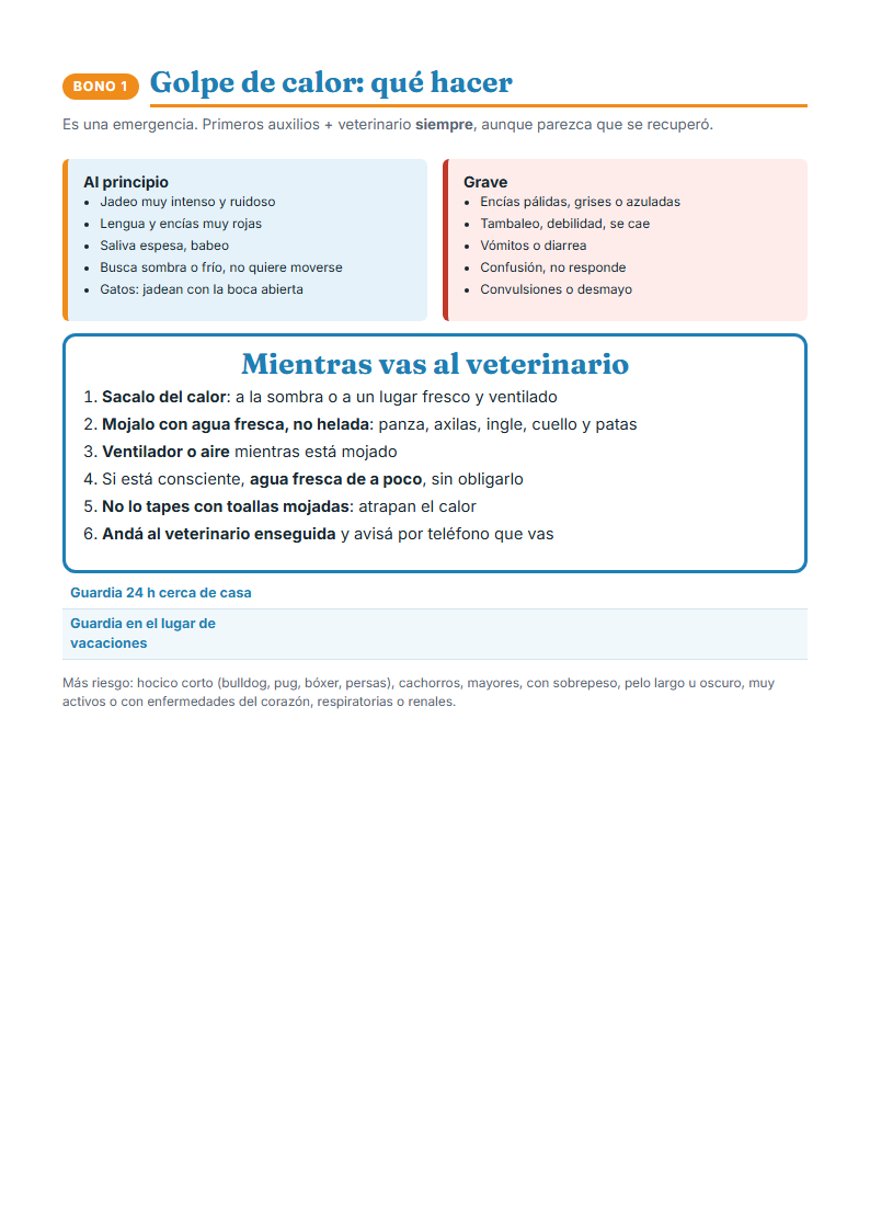 Cartel de golpe de calor