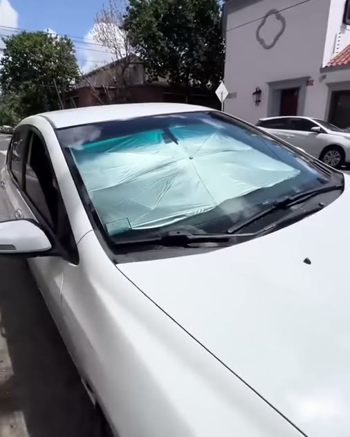 Auto estacionado con el parasol puesto